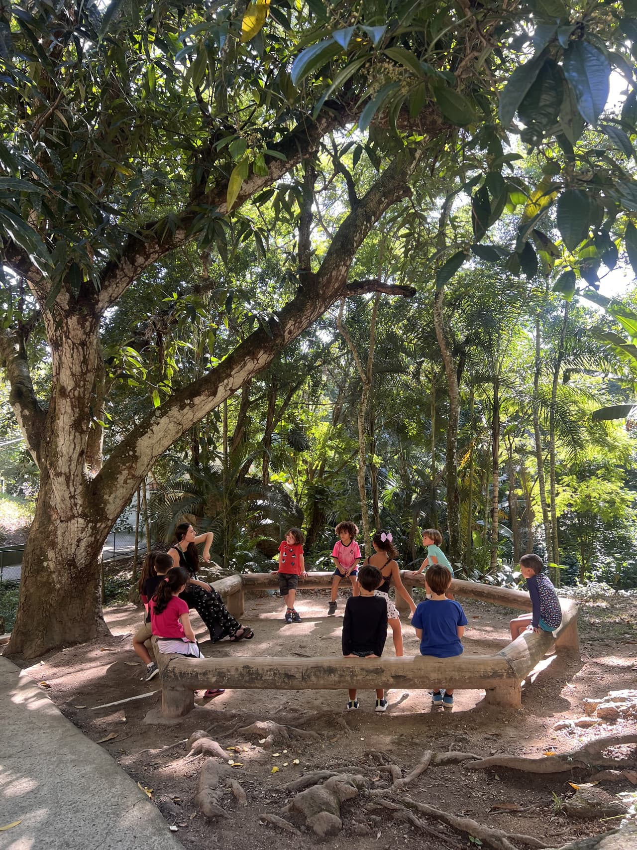 Escola Aldeia Curumim